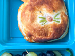 bunny biscuit lunchbox