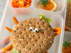 spider sandwich lunchbox