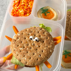 spider sandwich lunchbox