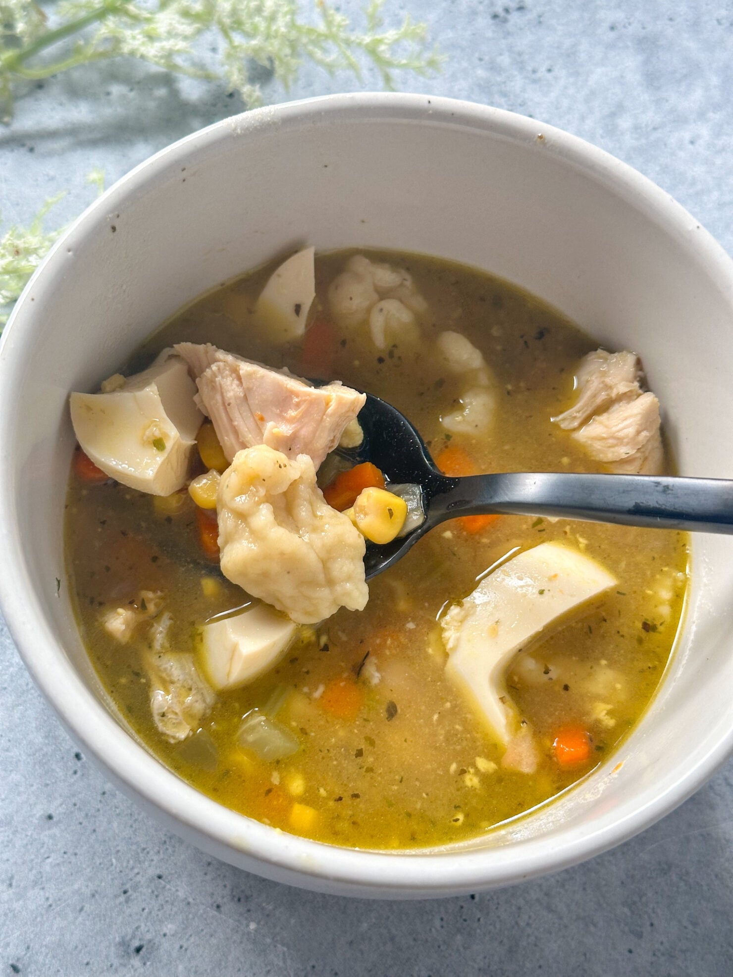 The Best Chicken and Dumplings Soup (Traditional Pennsylvania Dutch ...