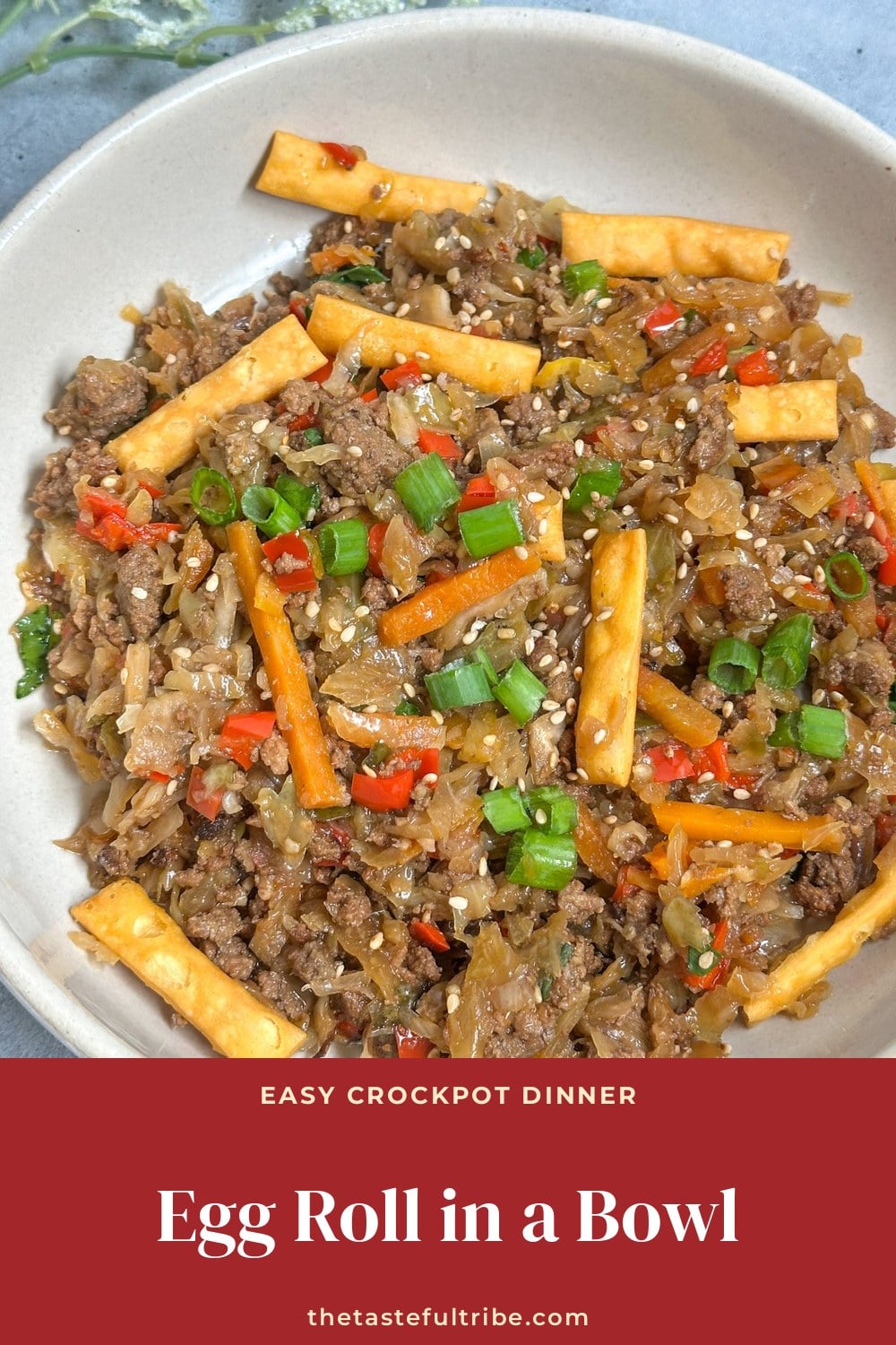 Close-up of crockpot egg roll in a bowl with ground pork, cabbage and carrots topped with crispy wonton strips