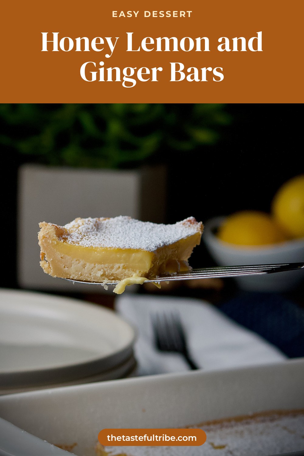 A honey lemon and ginger bar dusted with powdered sugar lifted on a spatula above a baking dish of bars